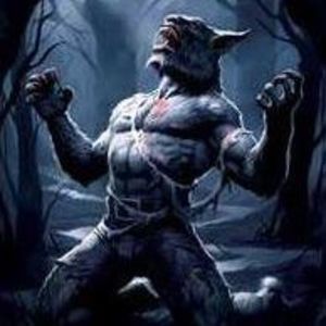 Meet your Posher, Dan